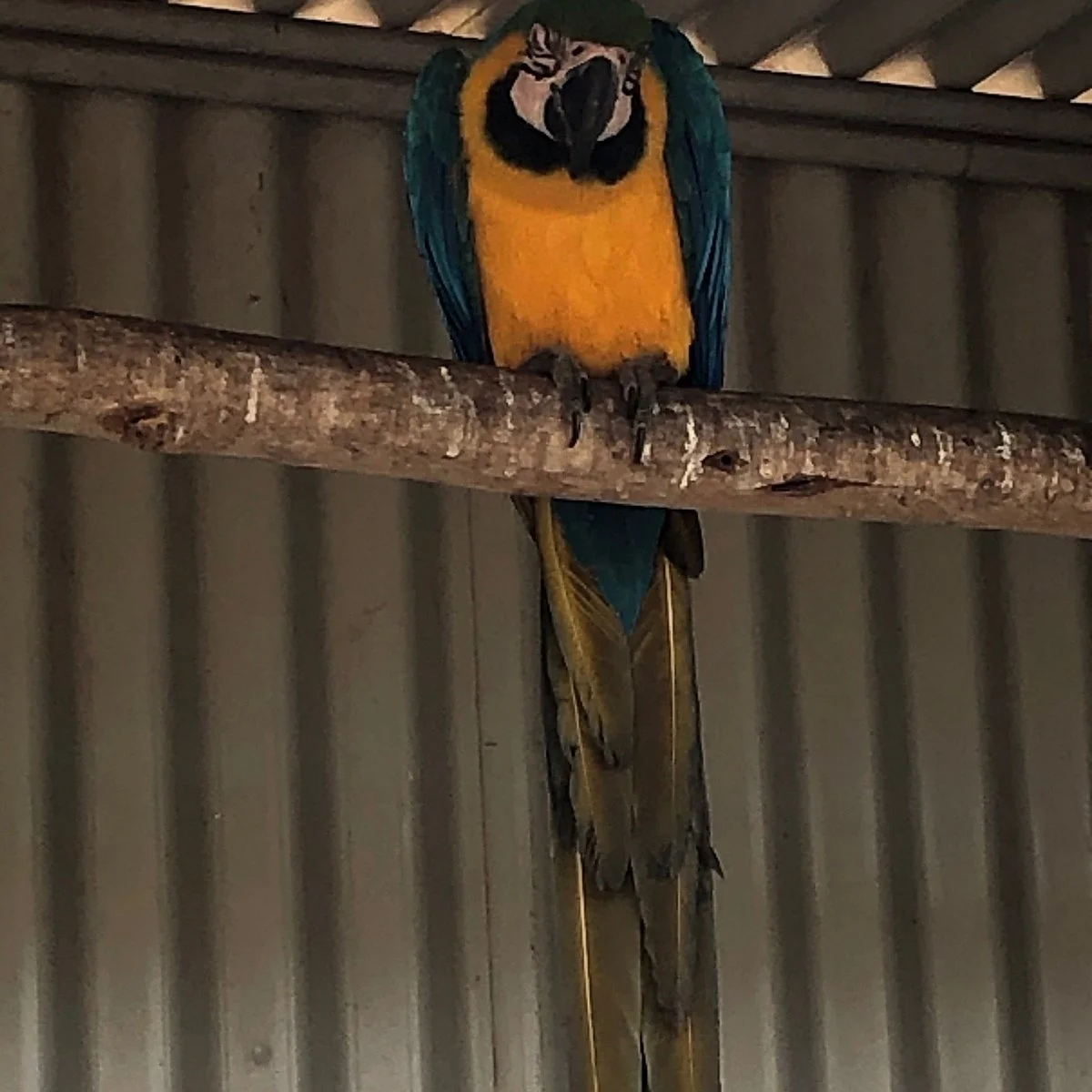 Taralga Wildlife Park