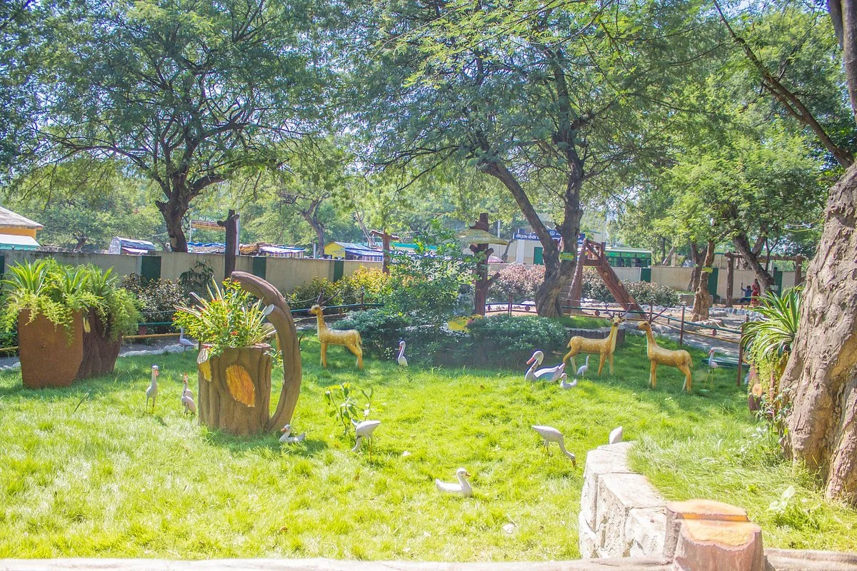 Crocodile Rehabilitation Centre