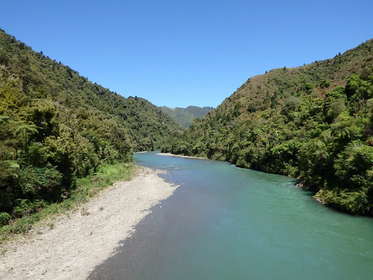 Waioeka Gorge Scenic Reserve
