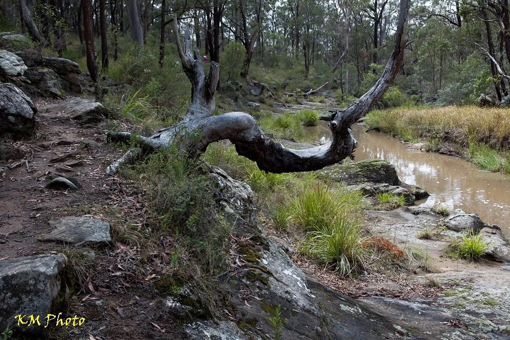 Applegum Walk