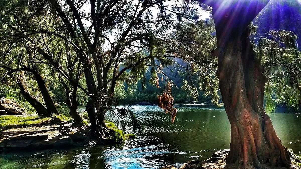 Bents Basin State Conservation Area