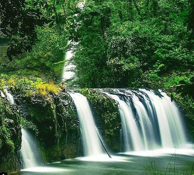 Nandroya Falls
