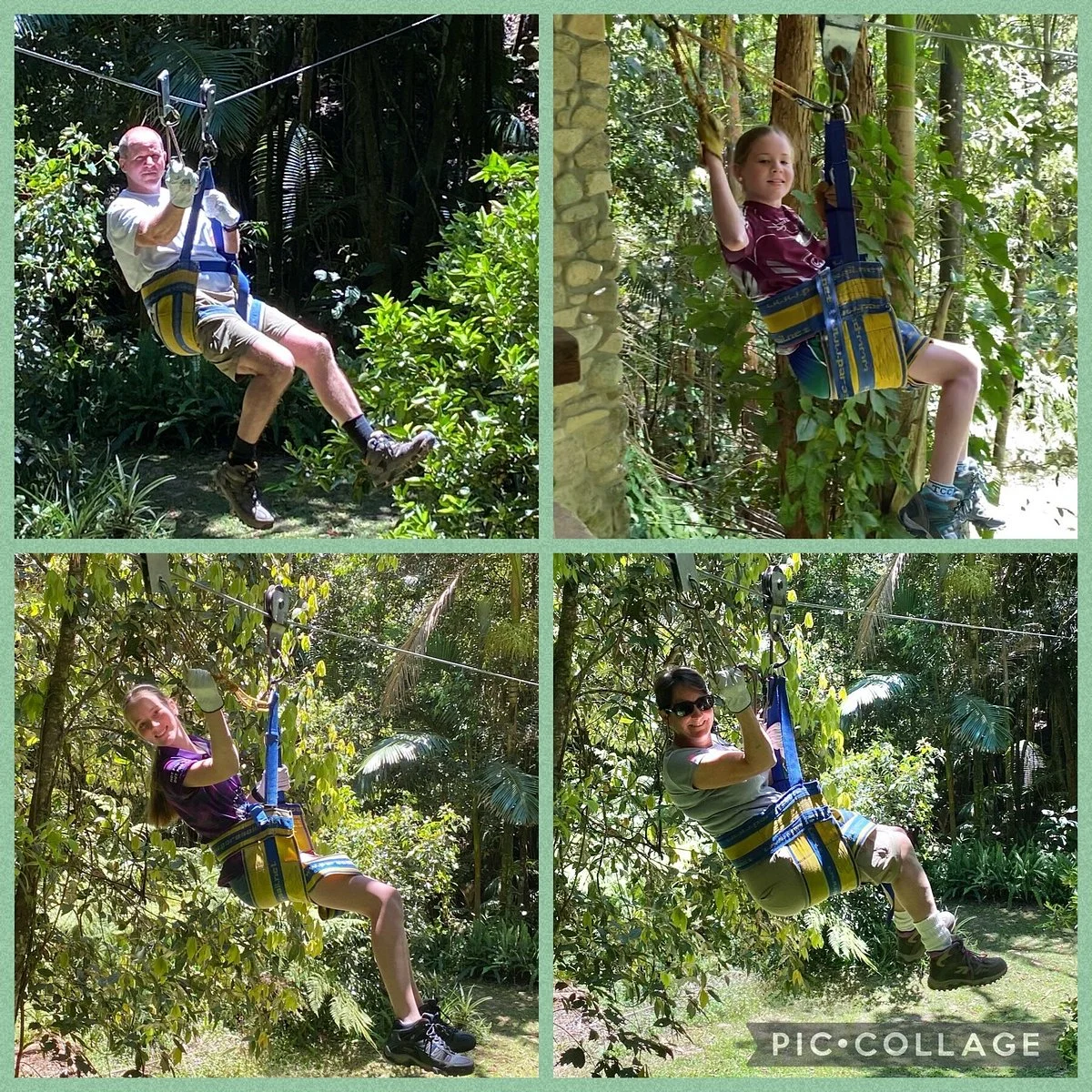 Forest Flying