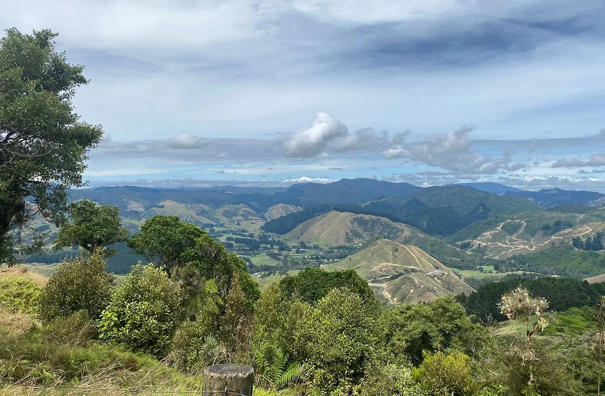 Hemi Matenga Memorial Park Scenic Reserve