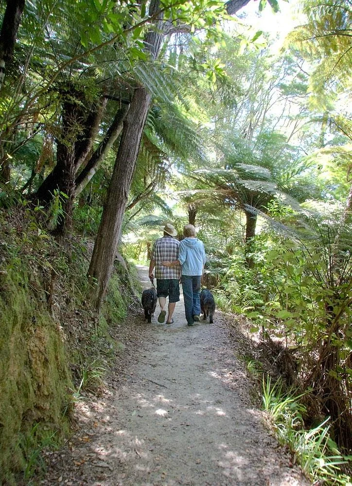 Davies Bay Campsite