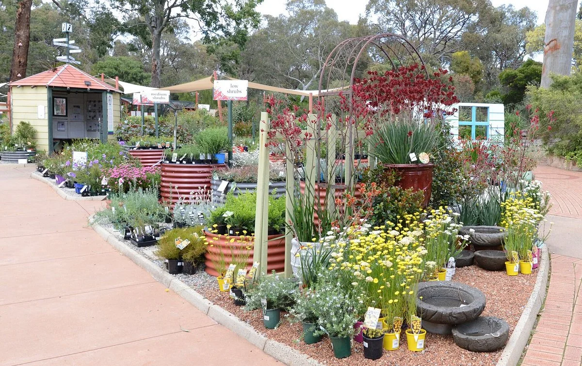 Zanthorrea Nursery