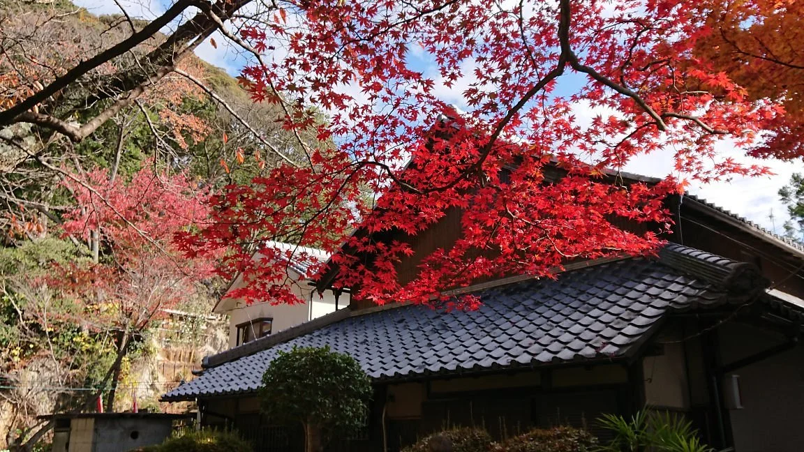 Shishikutsuji Temple
