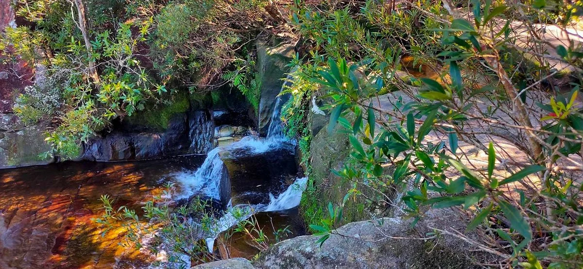 Kellys Falls Track