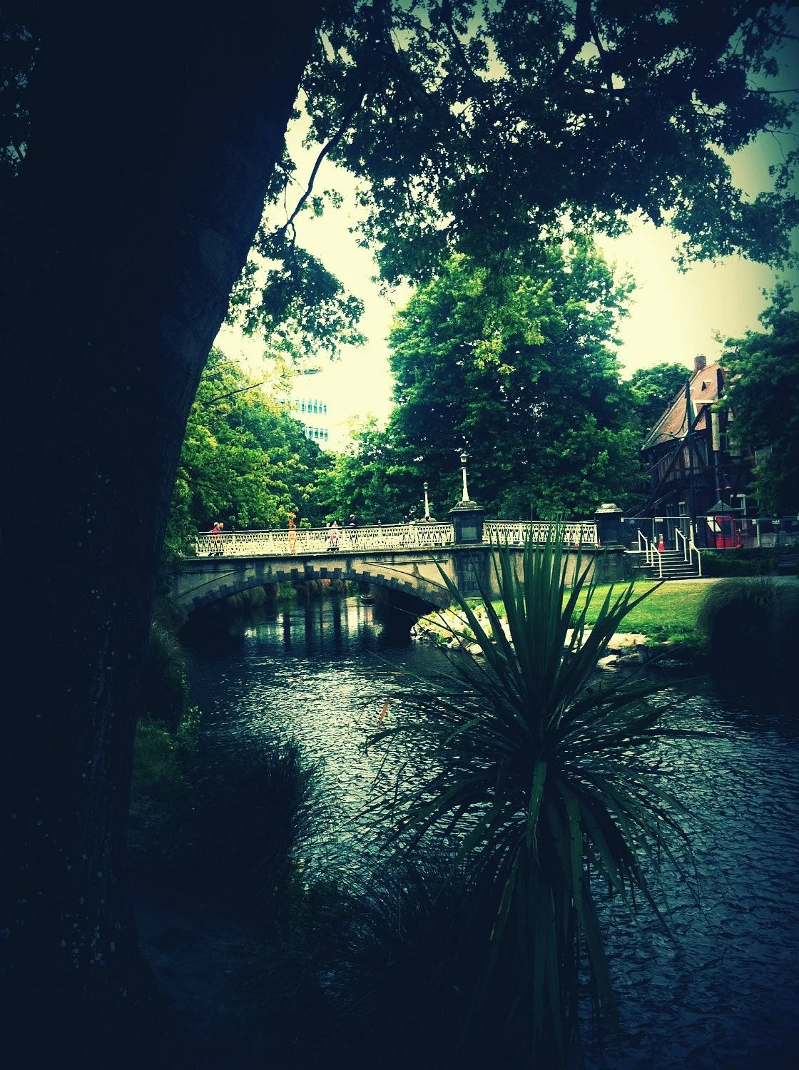 Woodhaugh Gardens