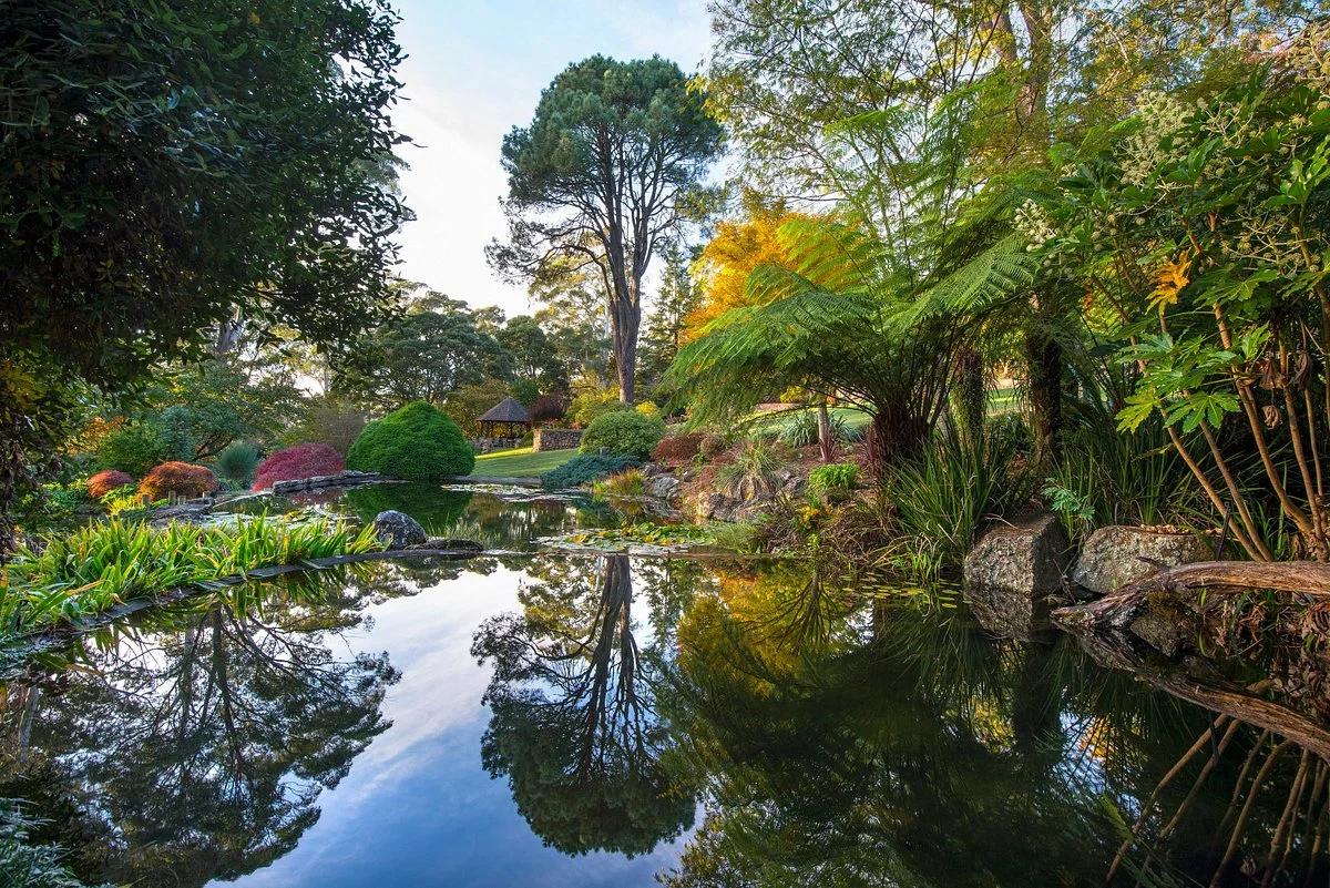 Windyridge Garden