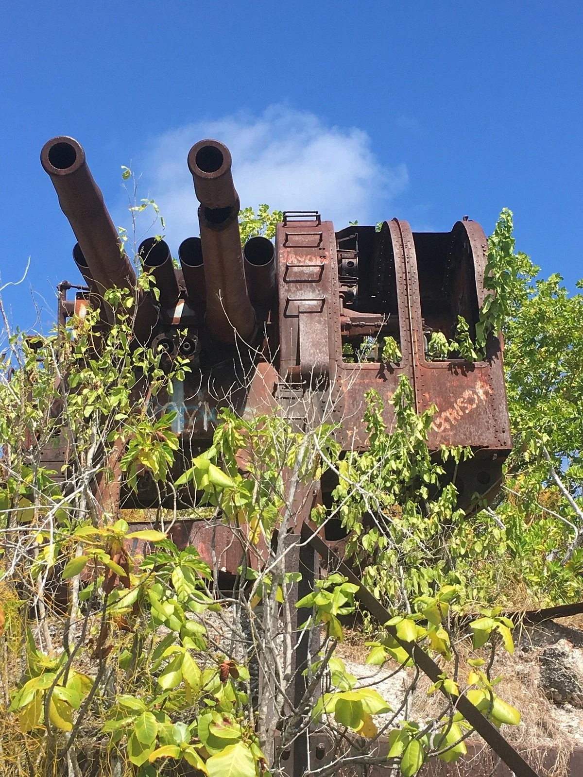 Japanese Guns