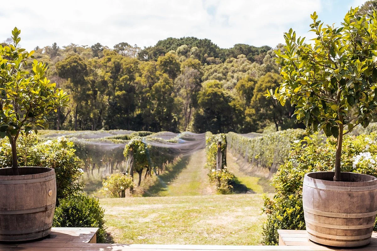 Manton's Creek Estate