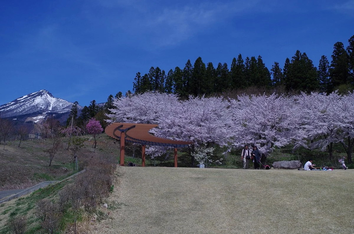 Kamegajo Park