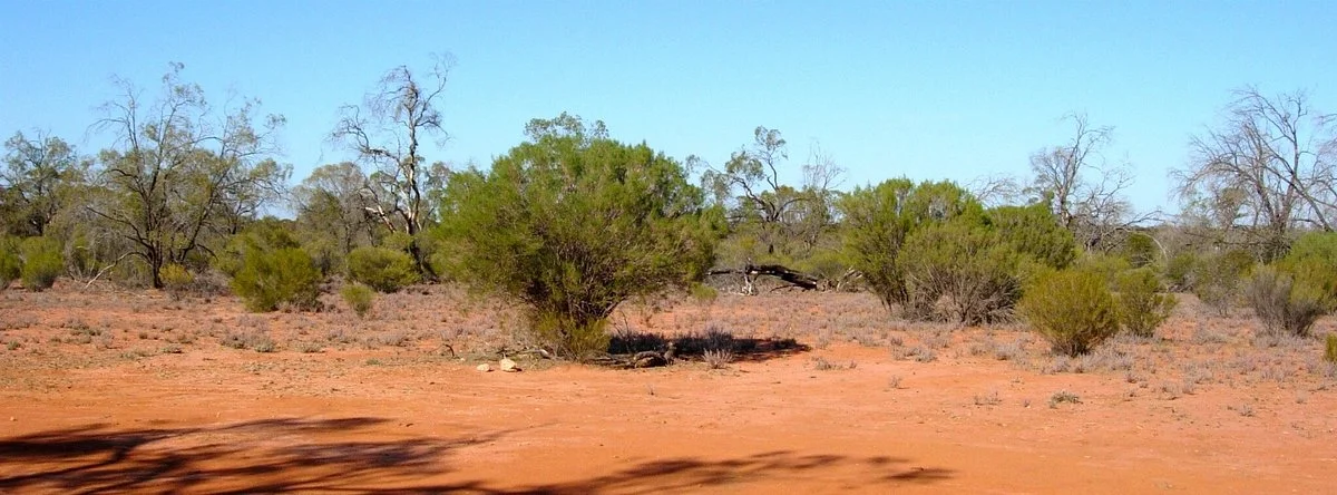 Danggali Conservation Park