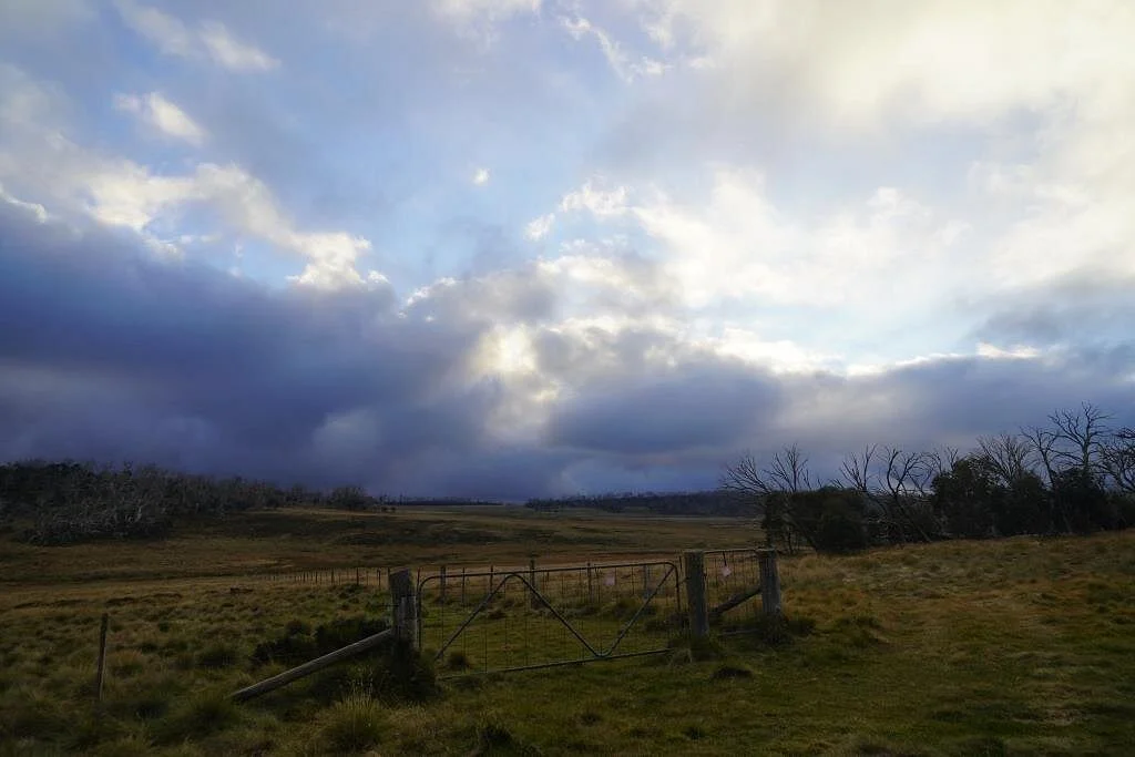Howitt Hut camping area