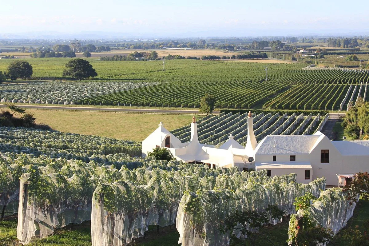 Te Mata Estate Winery & Vineyards