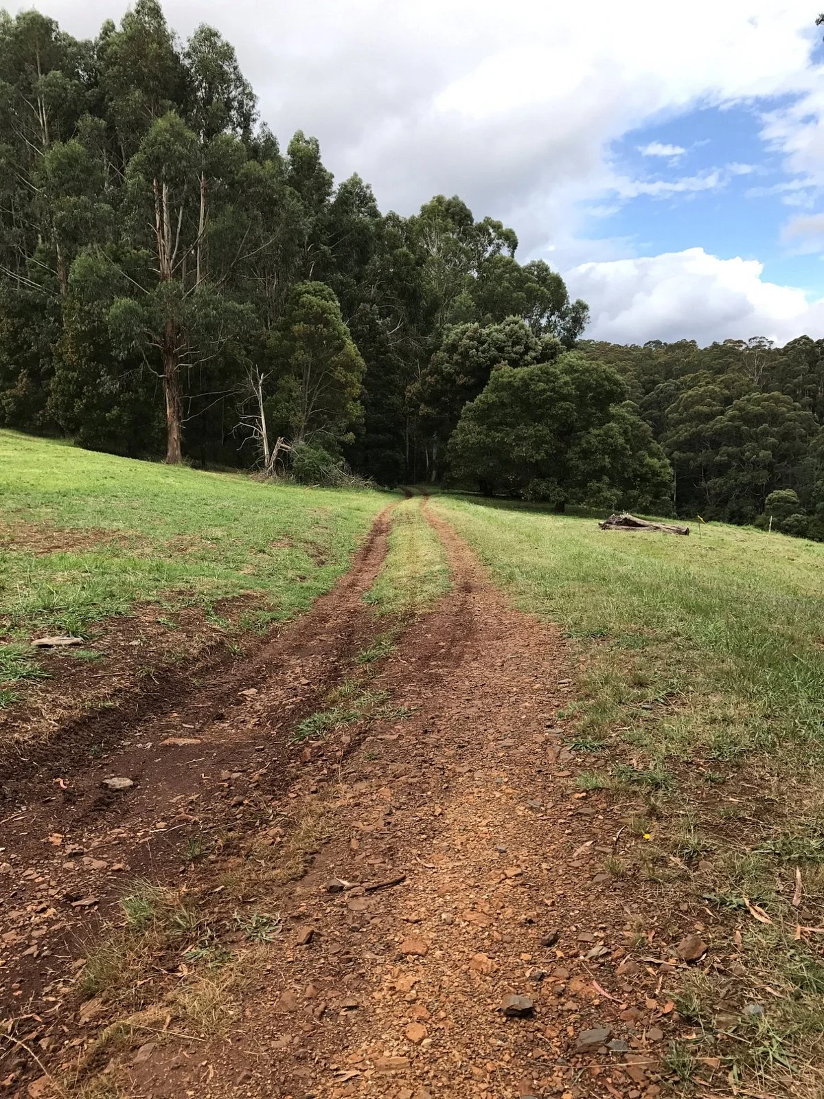 Walhalla Goldfields Rail Trail