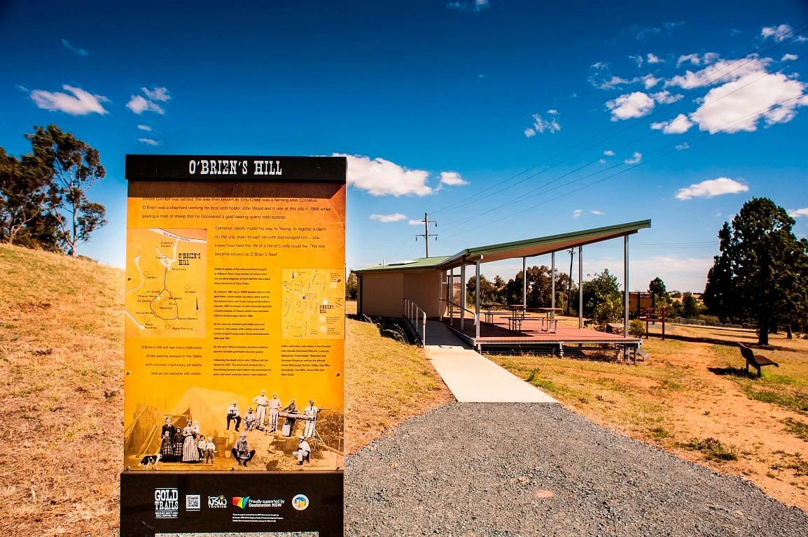 O'Brien's Lookout