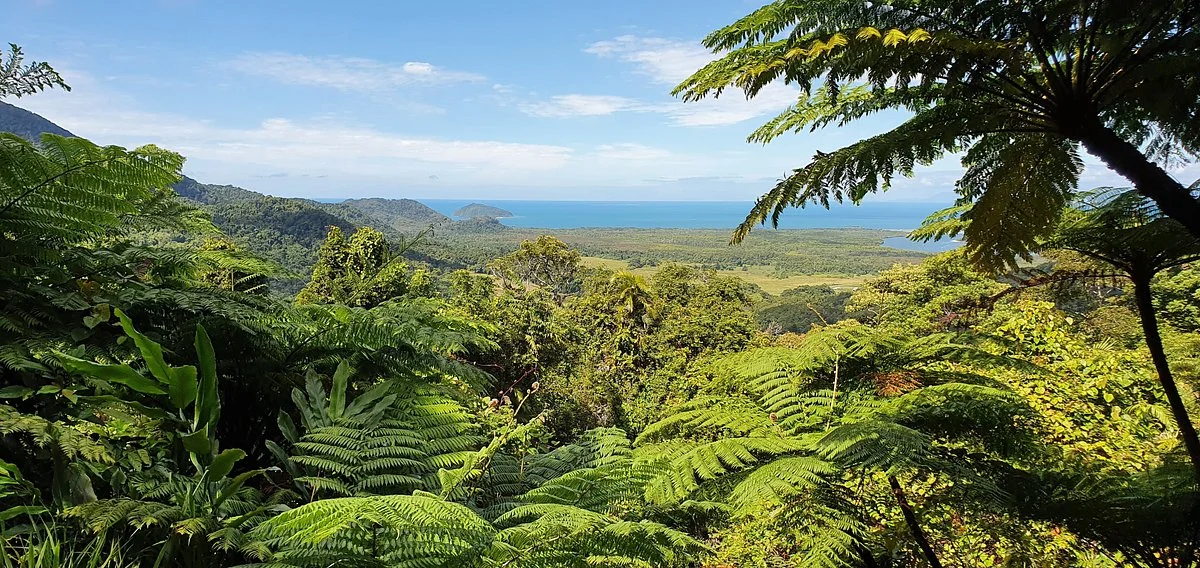 Mount Alexandra Lookout
