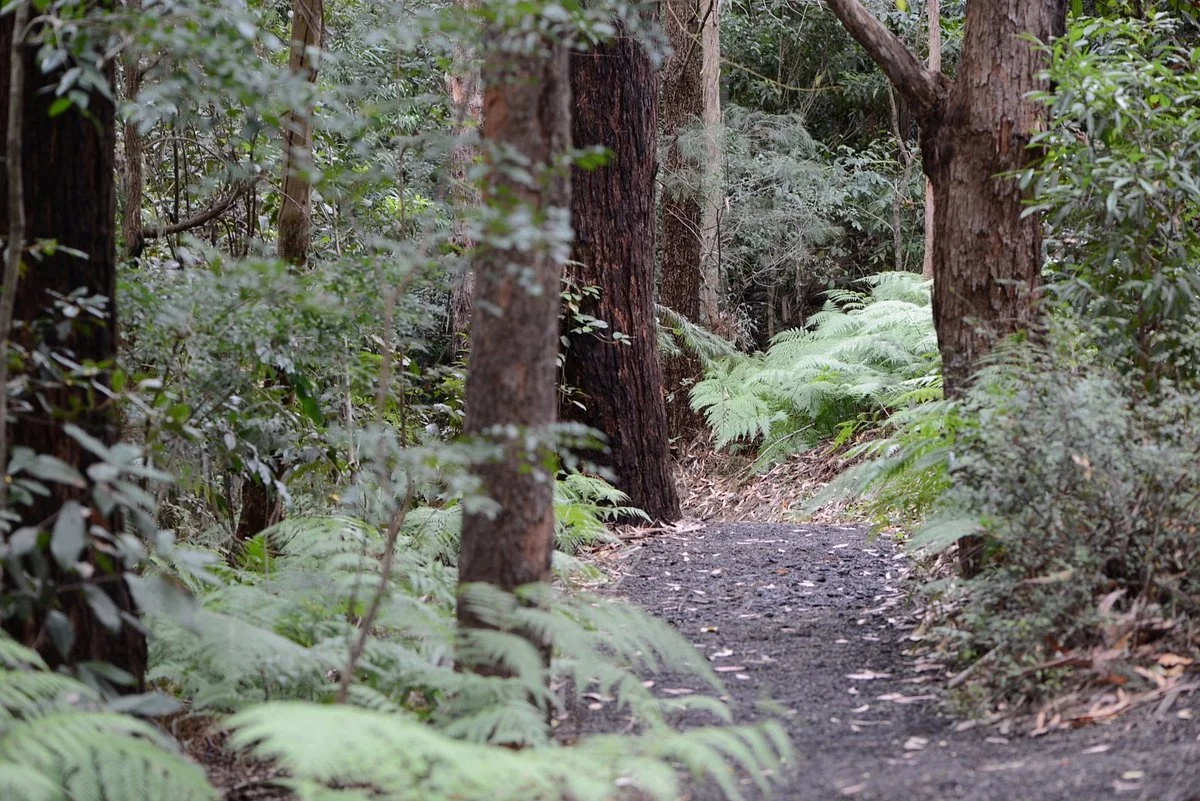 Illawarra Grevillea Park