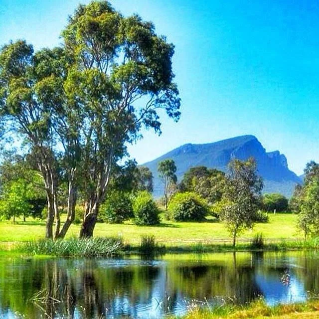 Dunkeld Arboretum