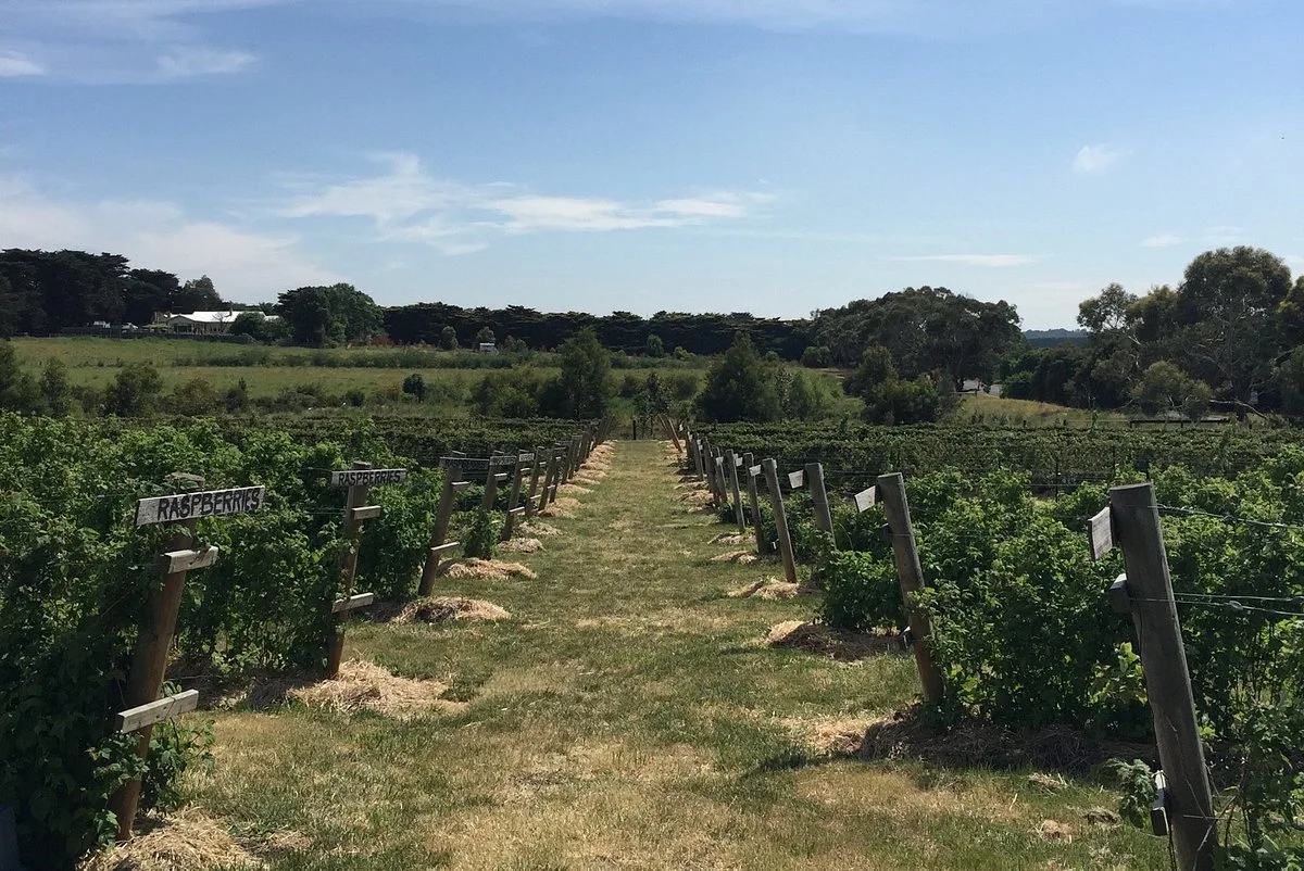 Ravens Creek Farm