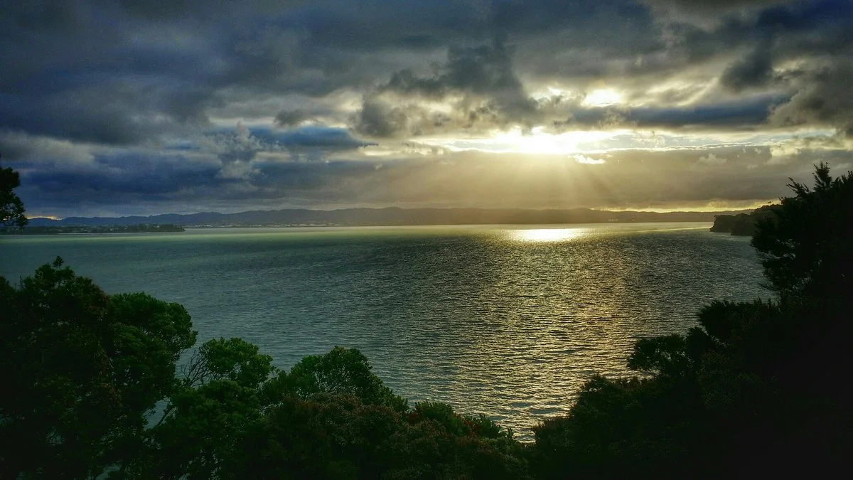 Hinemoa Park