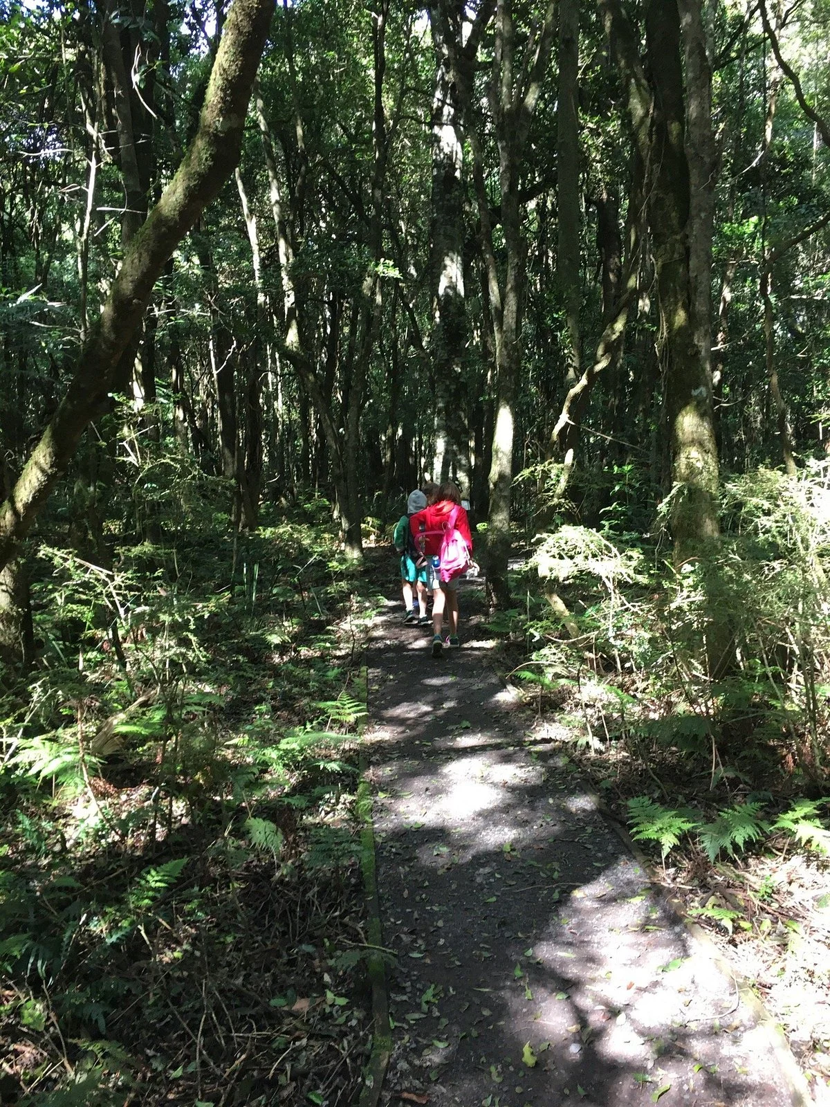 Robertson Nature Reserve