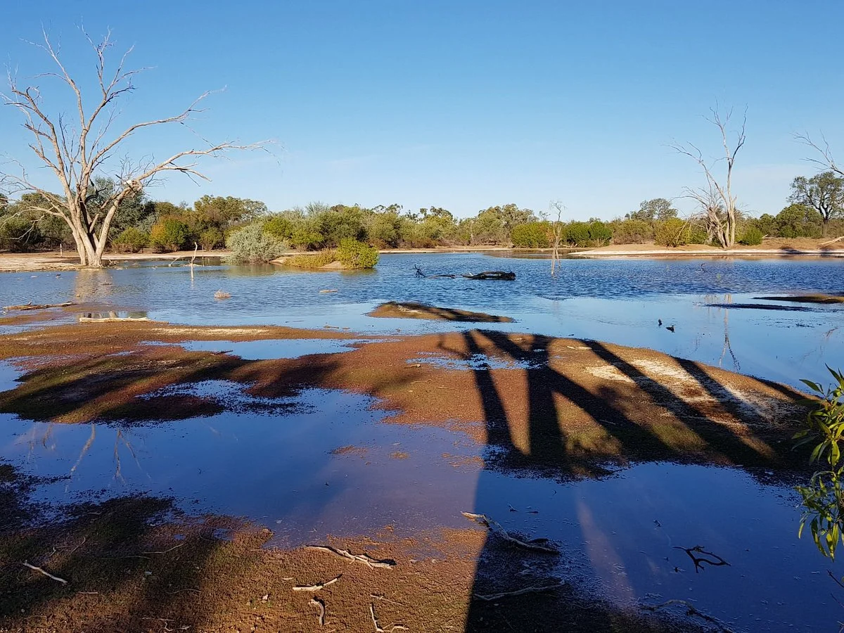 Bowra Sanctuary