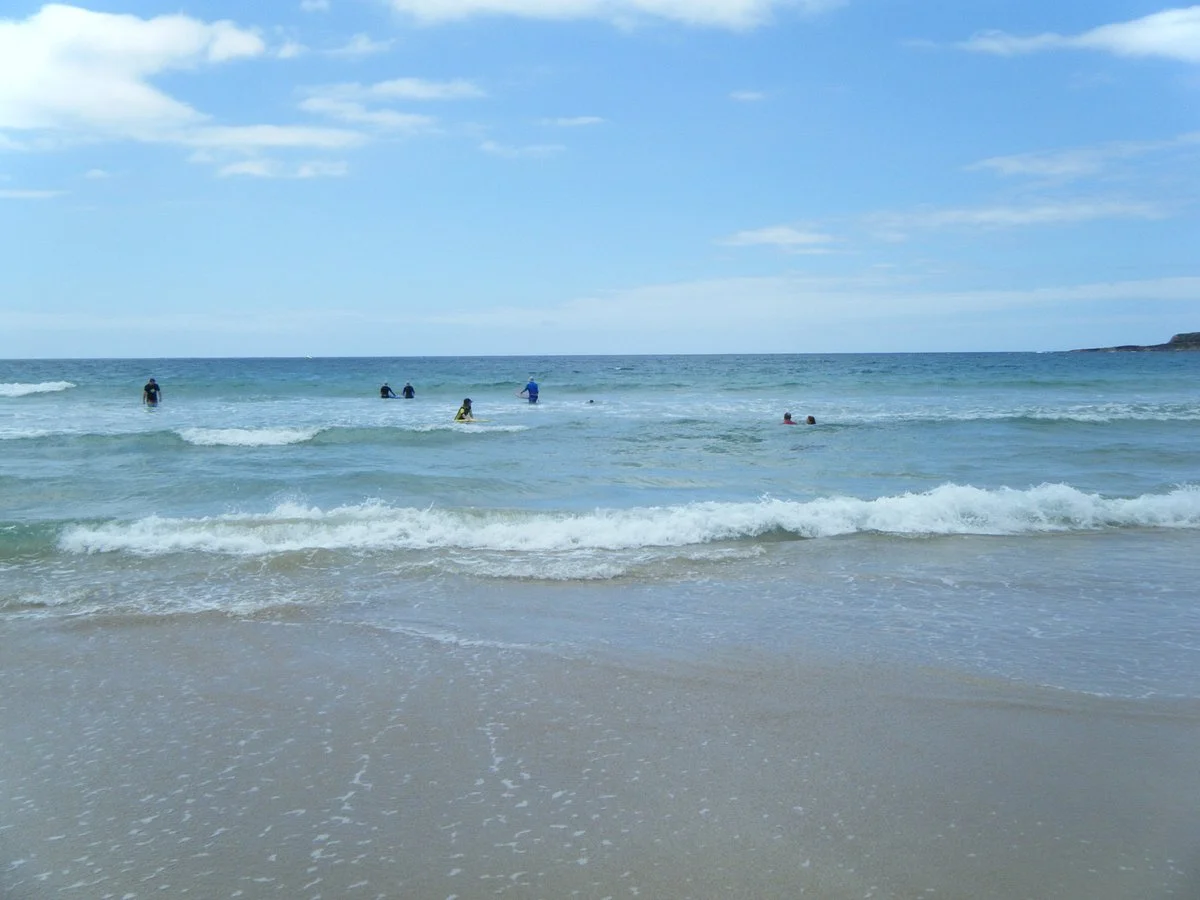Cookies Beach