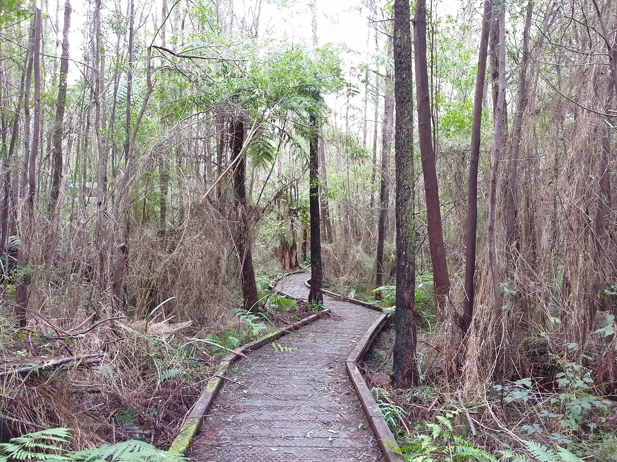 Beauty Spot Trail