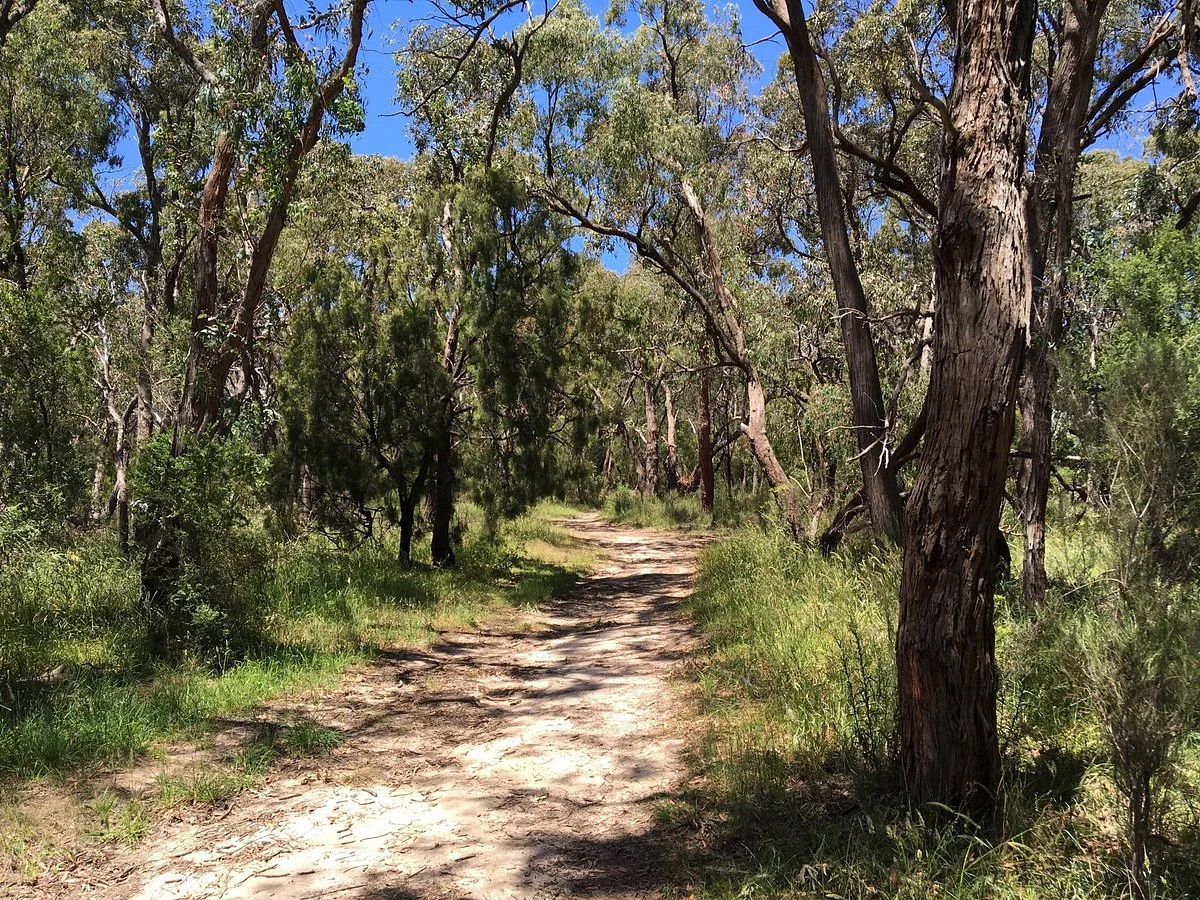 Bateman Street Bushland