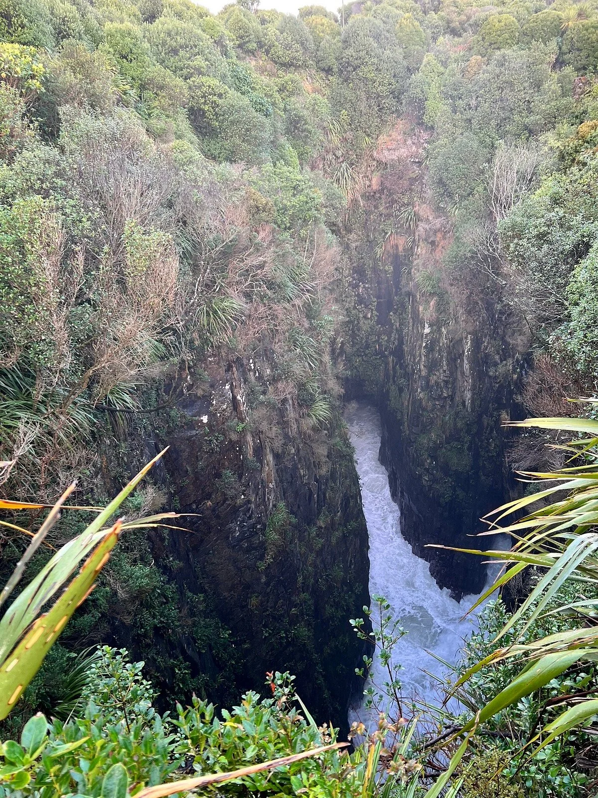 Jacks Blowhole Track