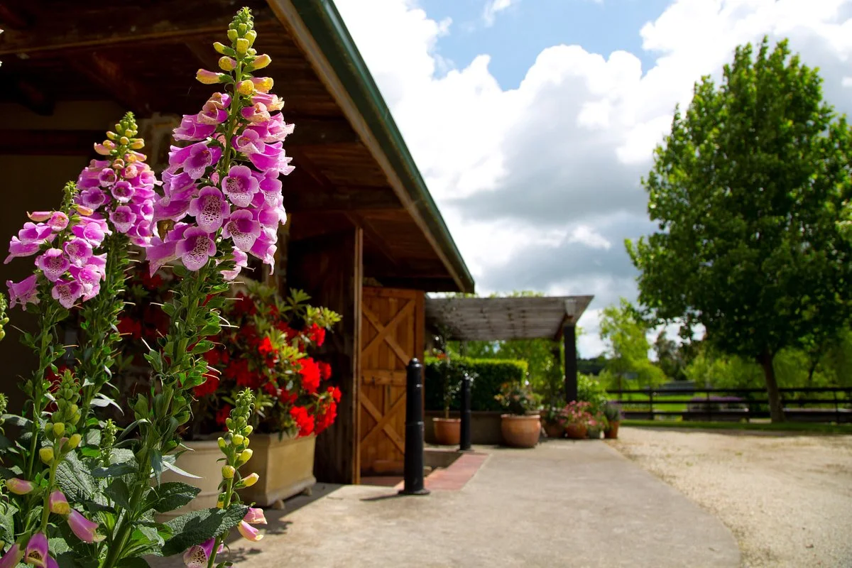 St Maur Wines