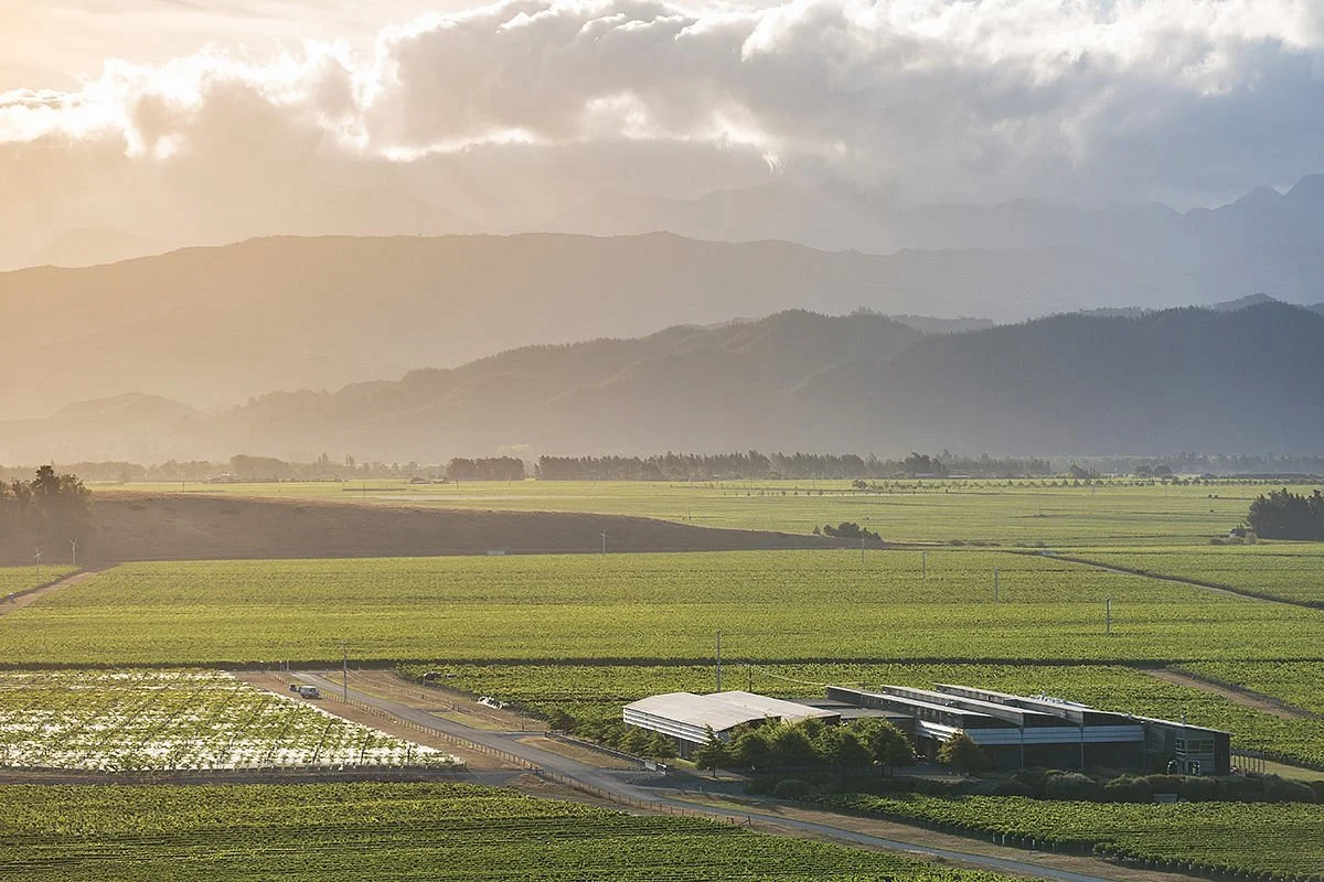 Spy Valley Wines