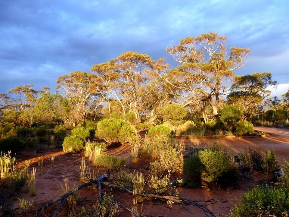 Gluepot Reserve