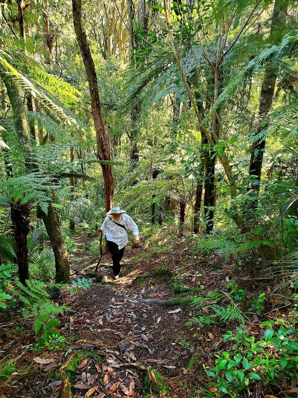 Otaika Valley Walk