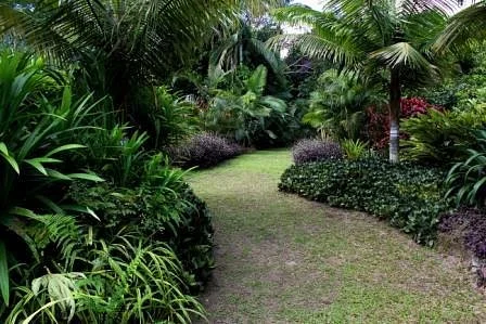 Rainbow Botanic Gardens