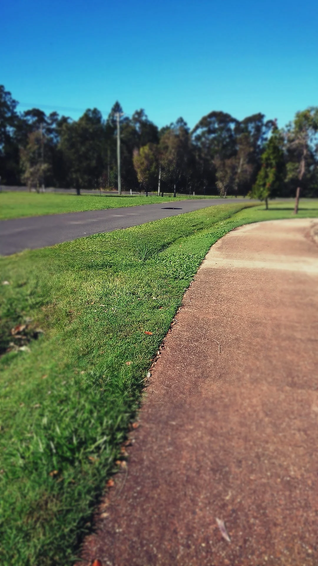 Skippy Park