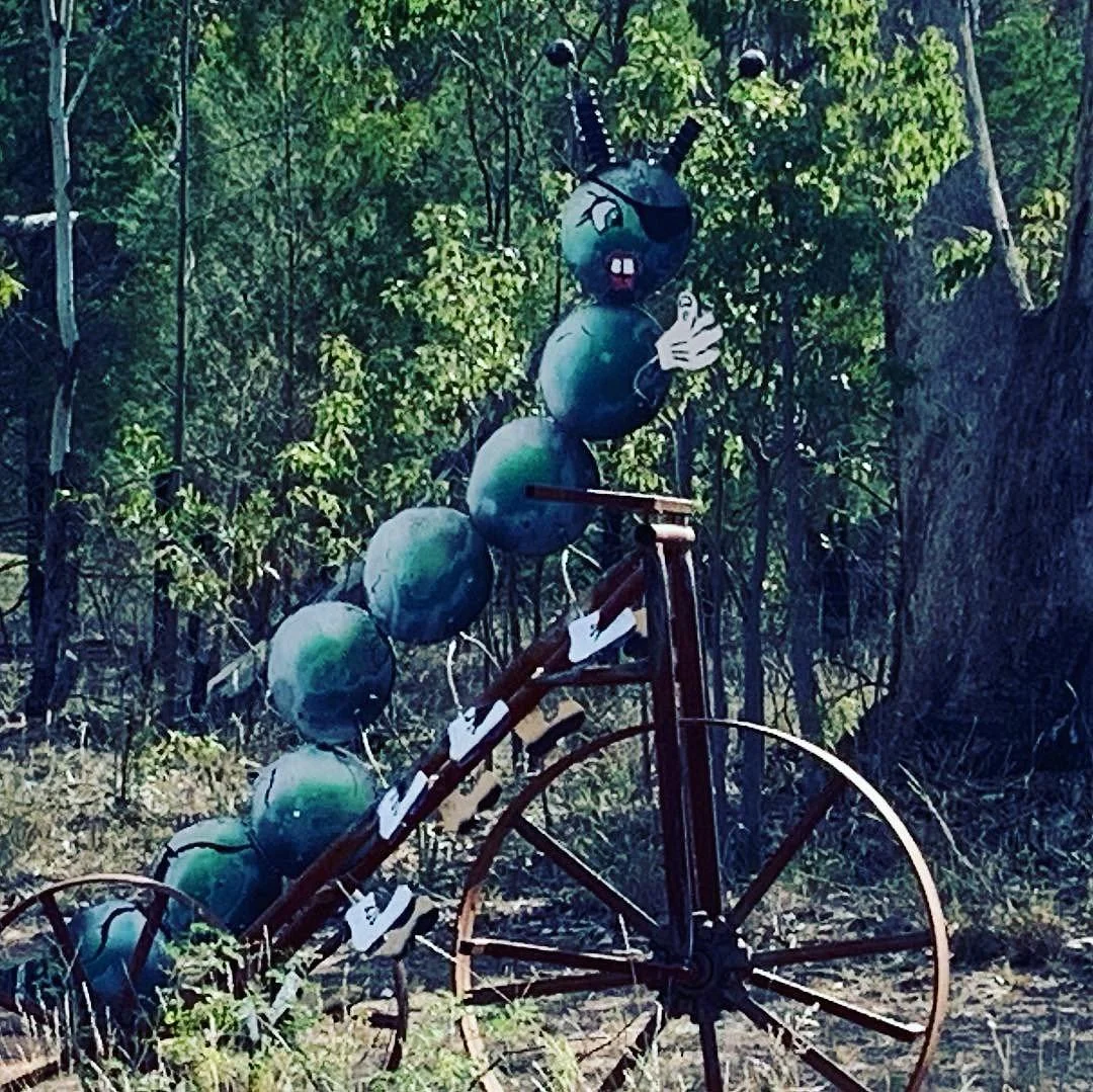 Animals on Bikes