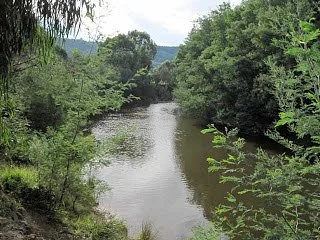 Spadonis Reserve