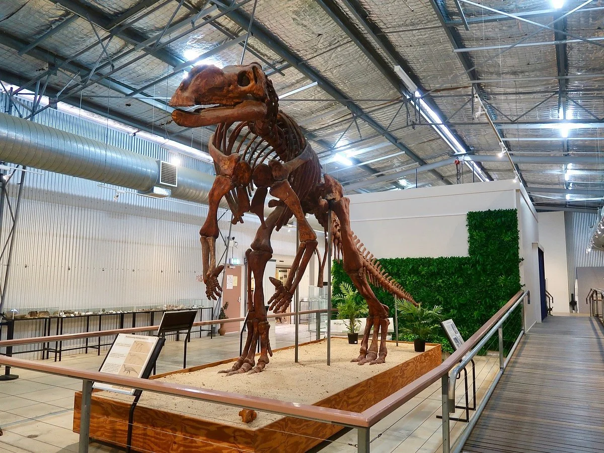 Flinders Discovery Centre