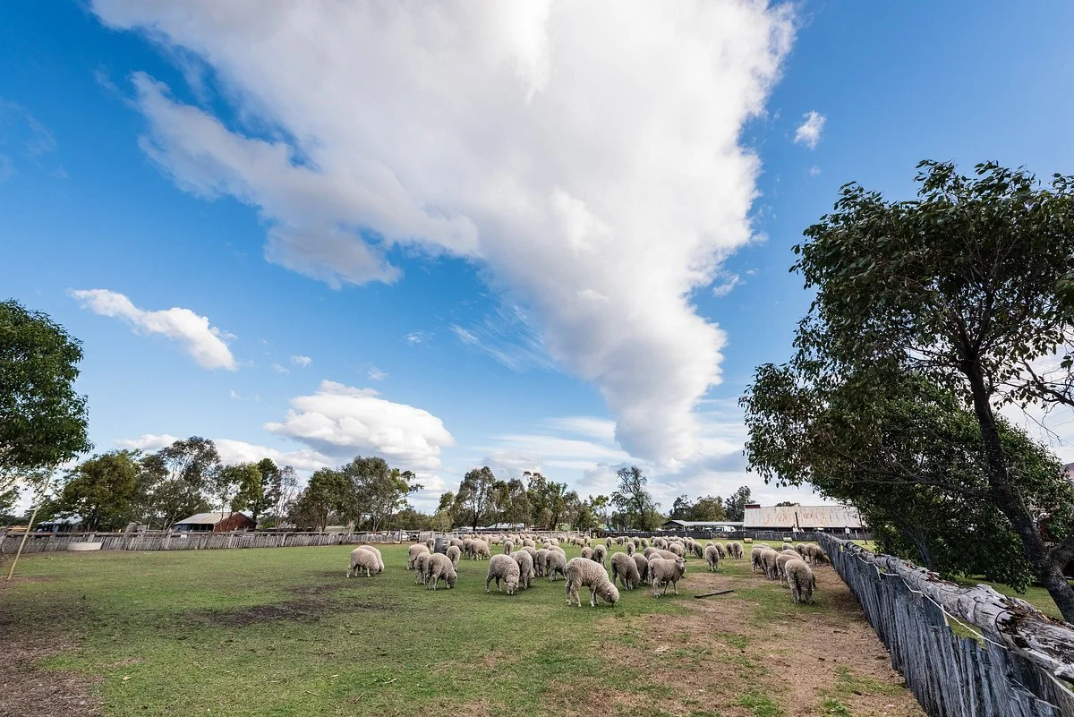 The Woolshed at Jondaryan