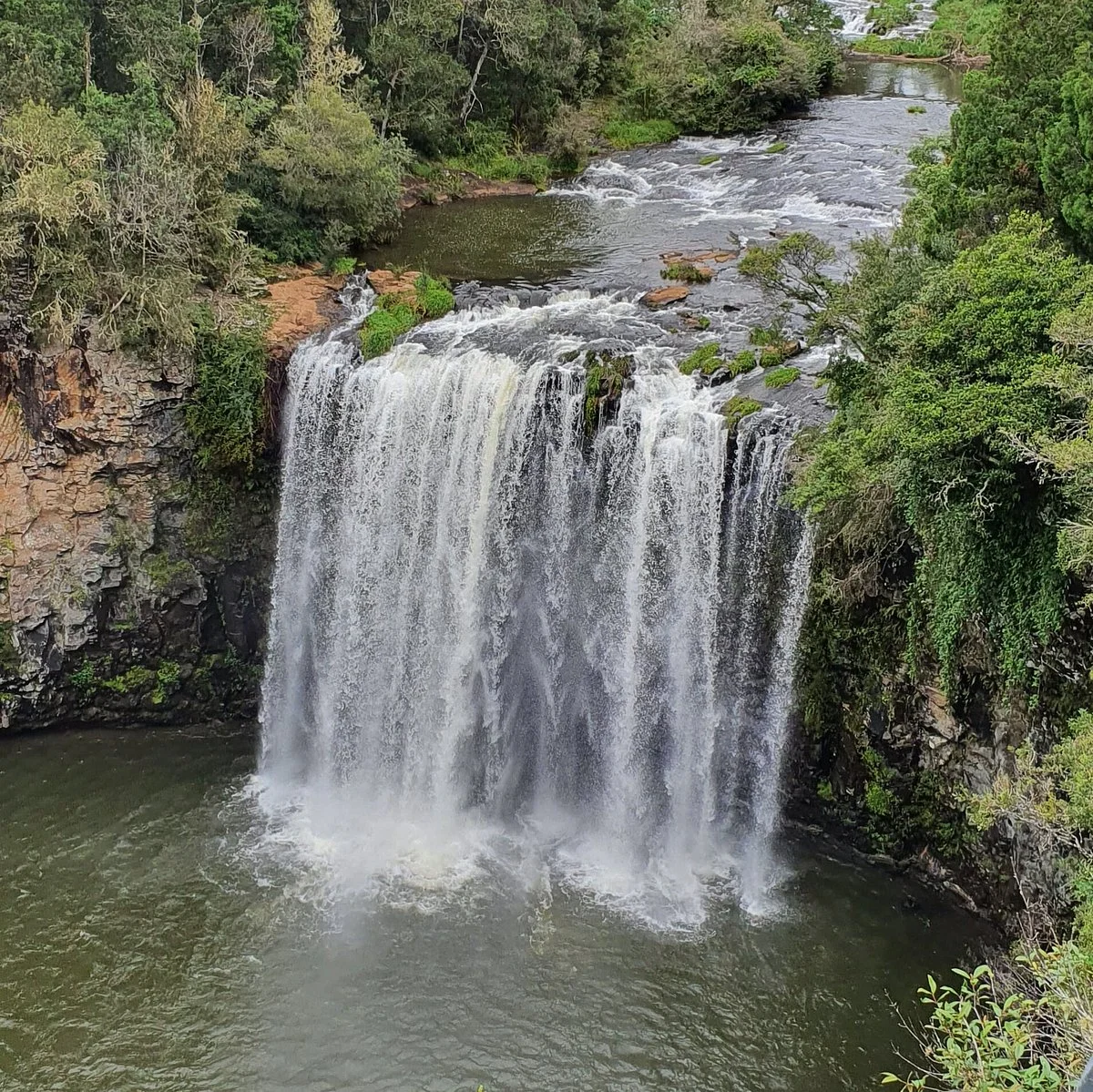 Dangars Falls