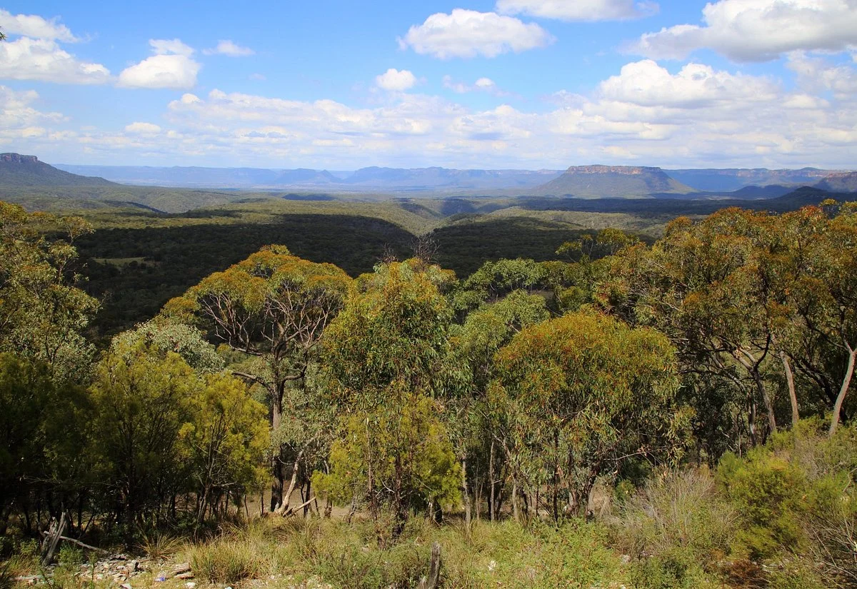Pearson's Lookout