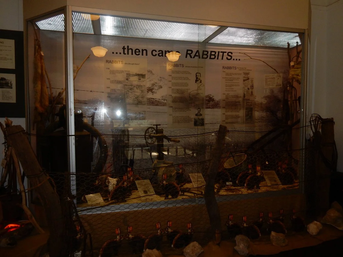Irwin District Museum