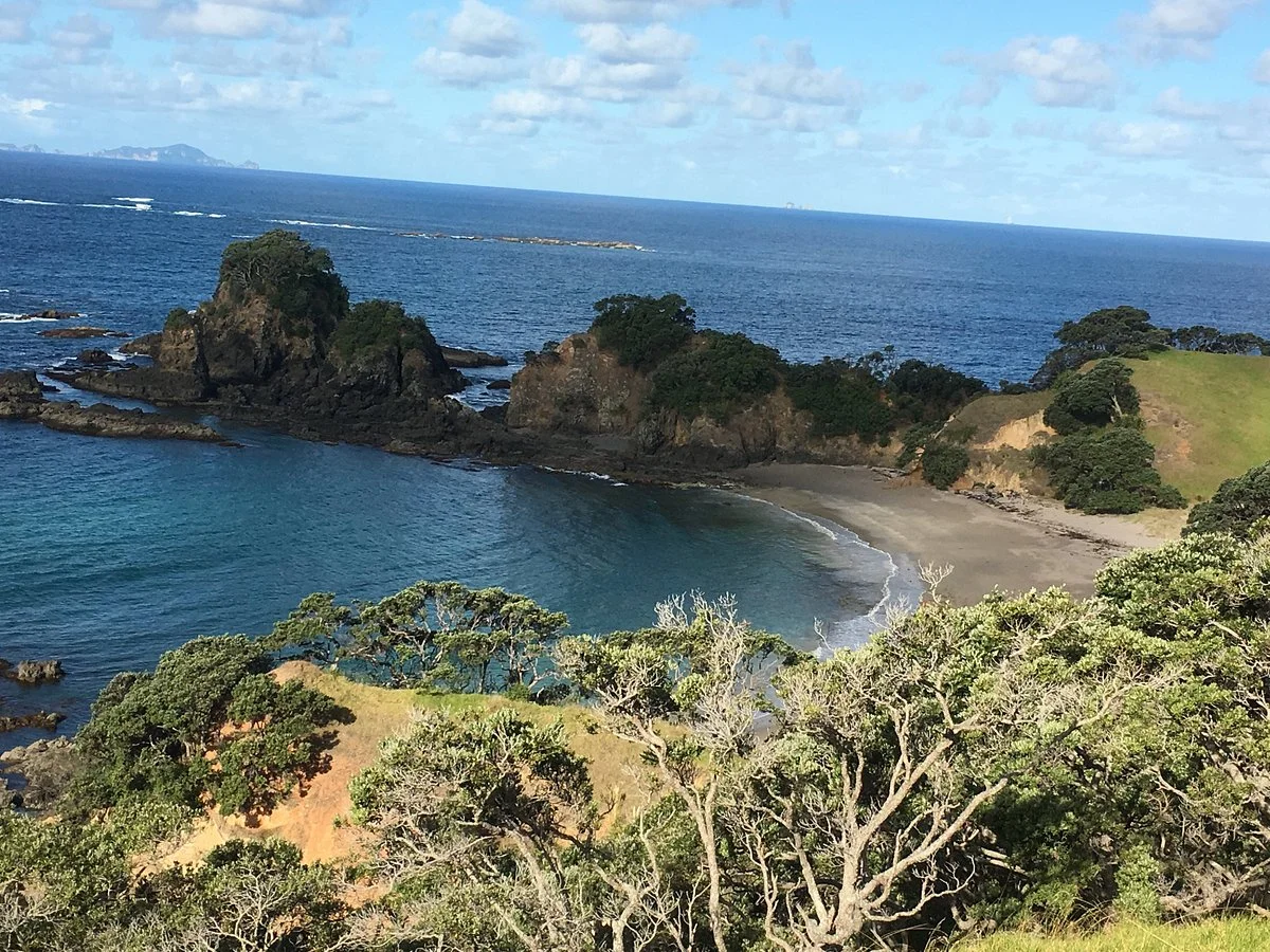 Whananaki Foot Bridge