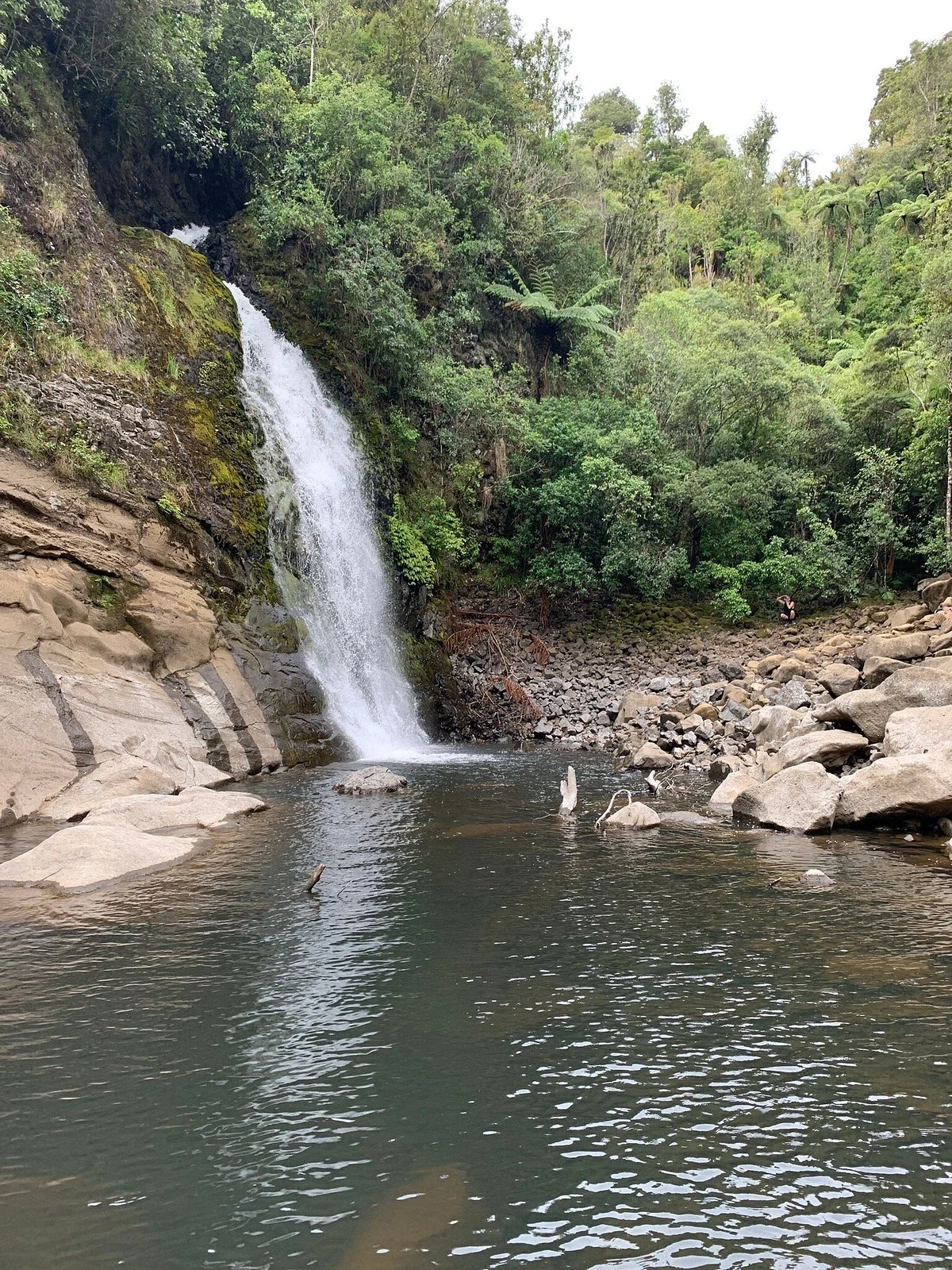 Upper Nihotupu Dam