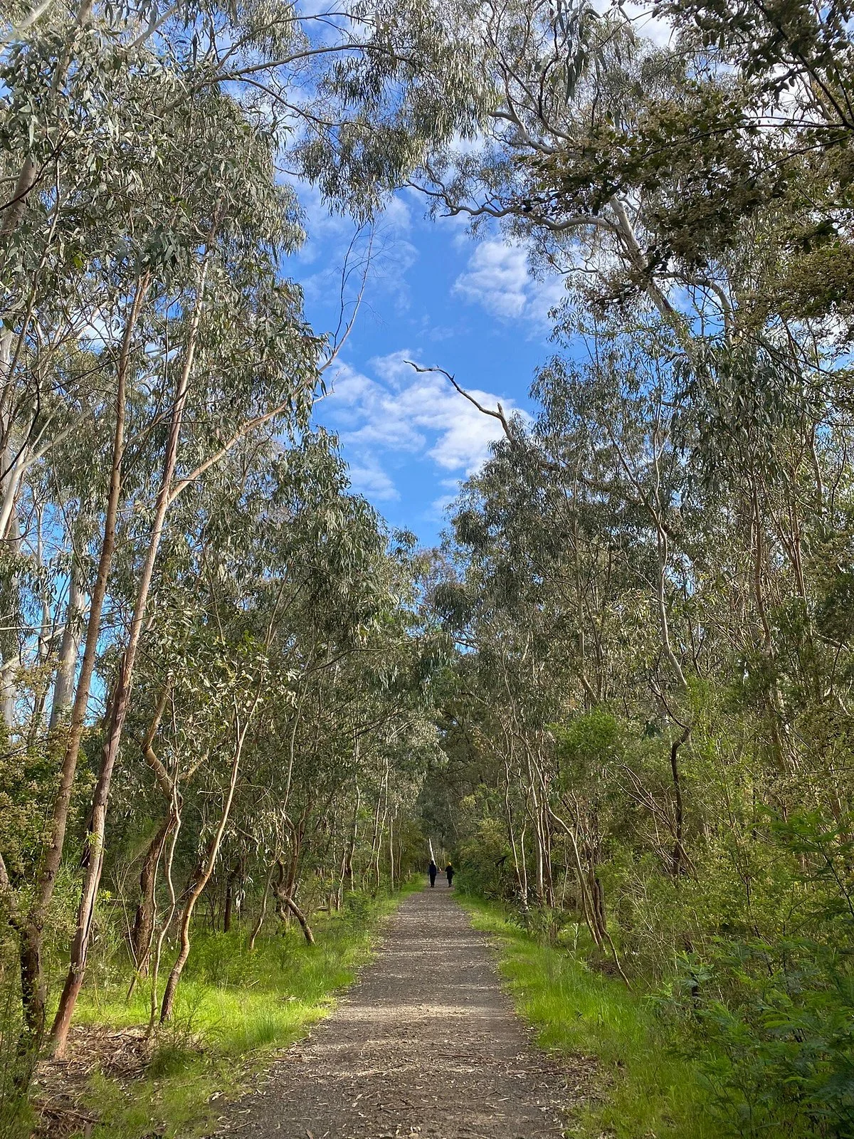 Gresswell Nature Reserve