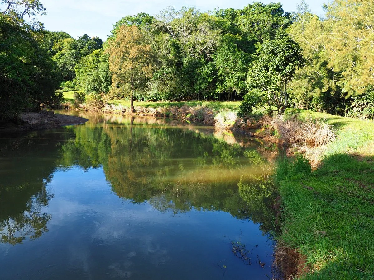 Bonadio's Mabi Wildlife Reserve